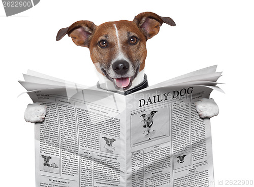 Image of dog newspaper