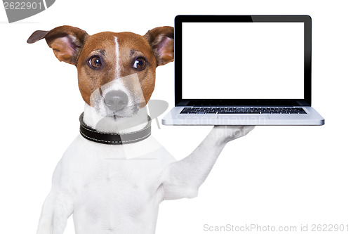 Image of computer dog