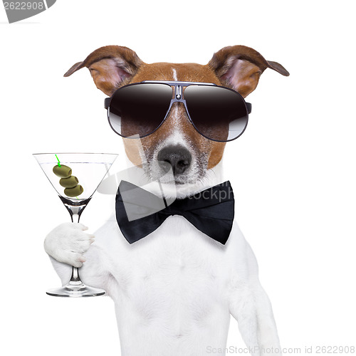 Image of martini dog