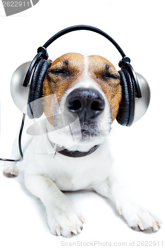 Image of dog listening  to music