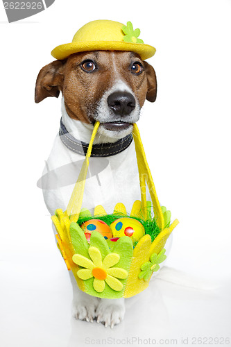 Image of Dog holding colorful easter basket 