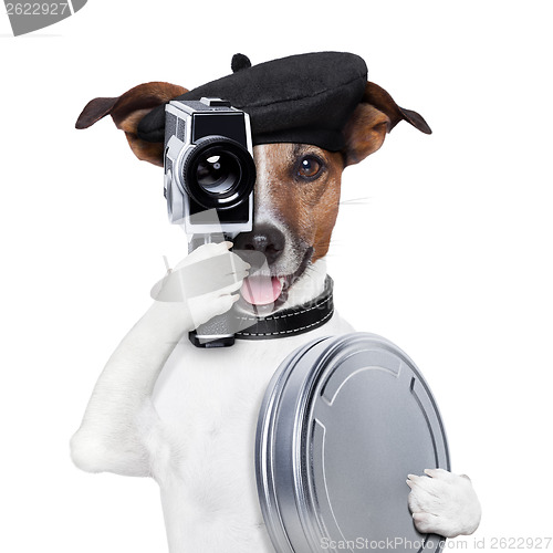 Image of movie director dog