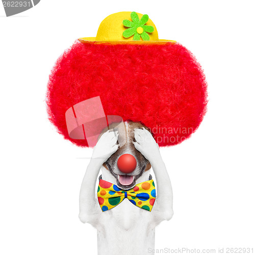 Image of clown dog with red wig and hat 