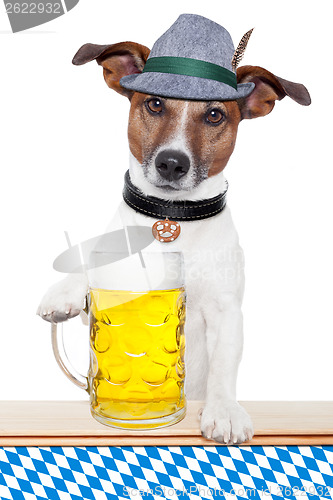 Image of dog oktoberfest