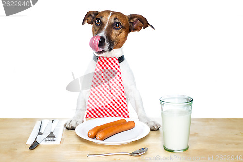 Image of dinner meal at table dog 