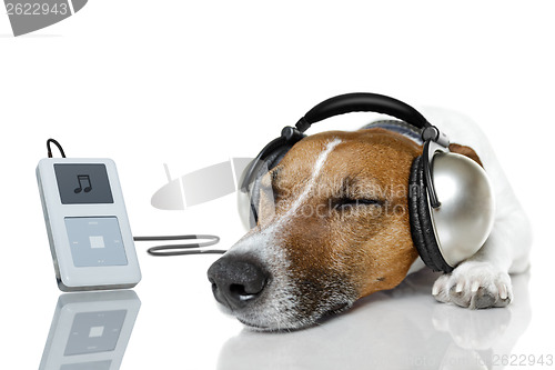 Image of Dog listen to music with a music player