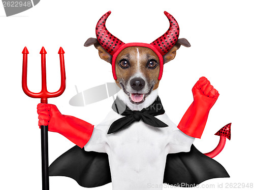 Image of devil dog 