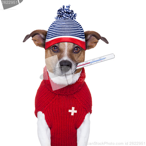 Image of sick ill cold dog  with fever 