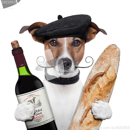 Image of french dog wine baguette beret
