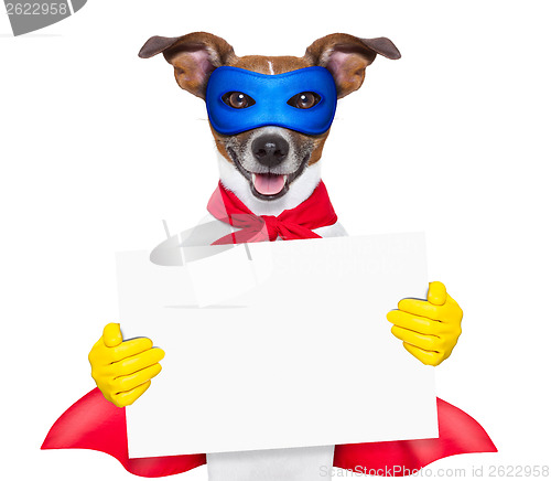 Image of super hero dog