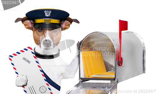 Image of mail dog