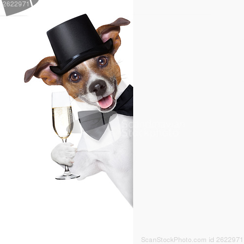 Image of dog toasting