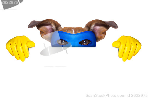 Image of super hero dog