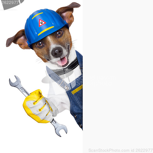 Image of Craftsman dog 