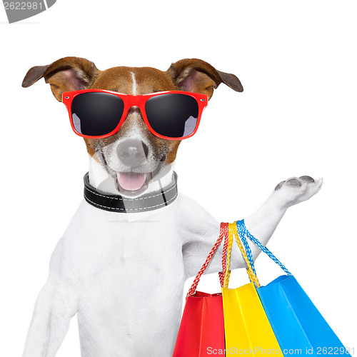 Image of shopping dog