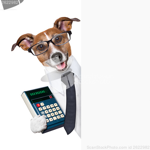 Image of accountant dog 