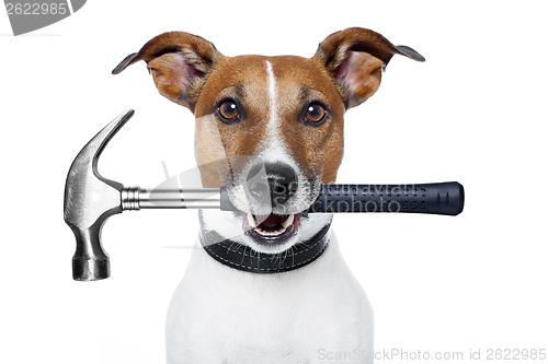 Image of handyman dog with a hammer