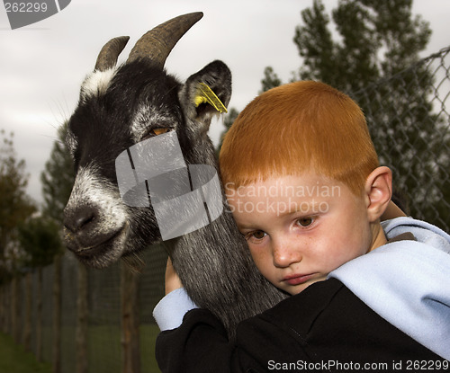 Image of kid and the goat