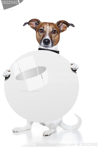 Image of banner placeholder dog 