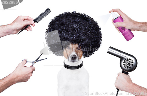 Image of hairdresser  scissors comb dog spray