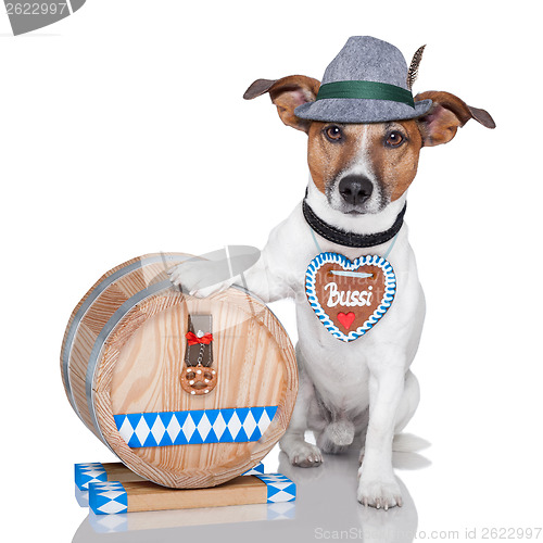 Image of  oktoberfest dog