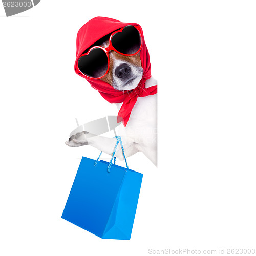 Image of shopaholic shopping diva dog 