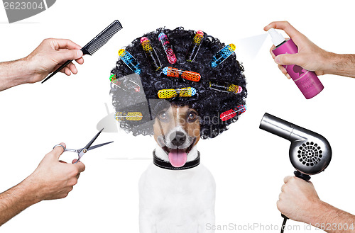 Image of hairdresser  scissors comb dog spray 