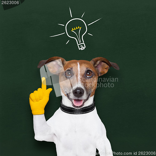 Image of dog idea