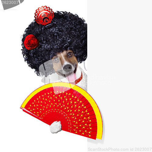 Image of spanish dog