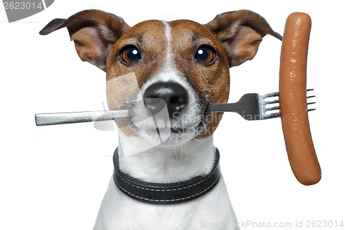 Image of hungry dog with a sausage on the fork