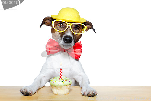 Image of birthday dog cupcake