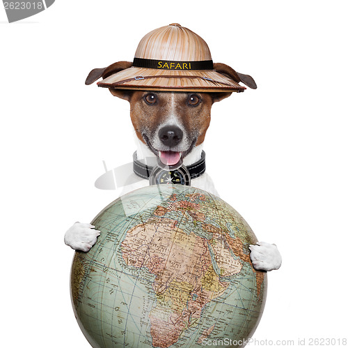 Image of travel globe compass dog safari explorer