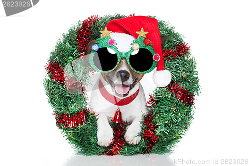 Image of xmas dog 