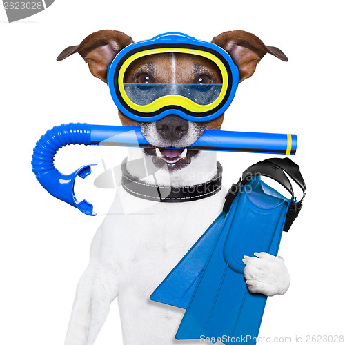 Image of scuba dog