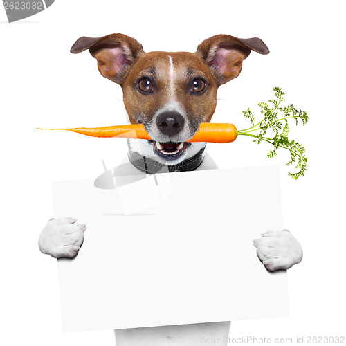 Image of healthy dog with a carrot