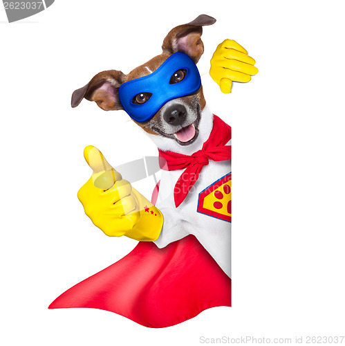 Image of super hero dog