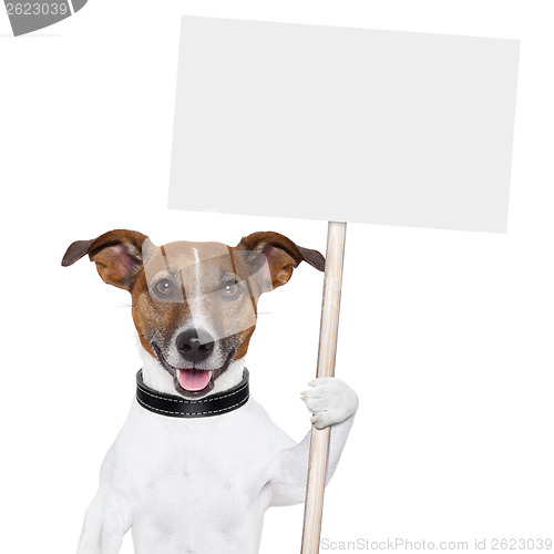 Image of banner dor