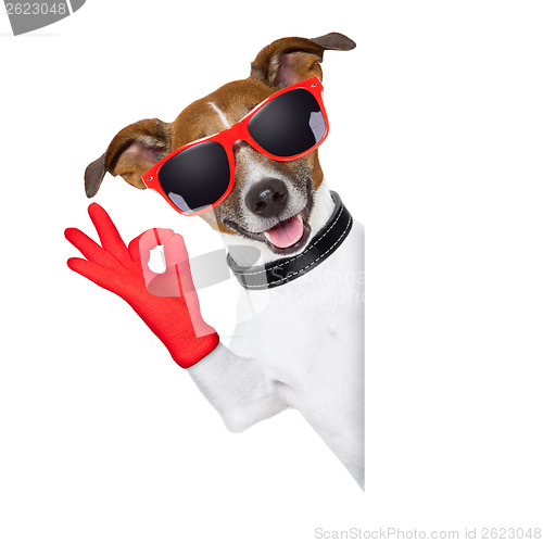 Image of ok fingers dog