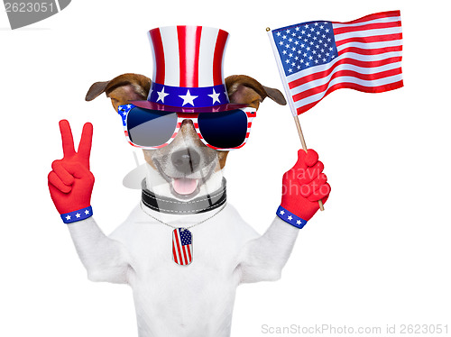 Image of usa american dog 