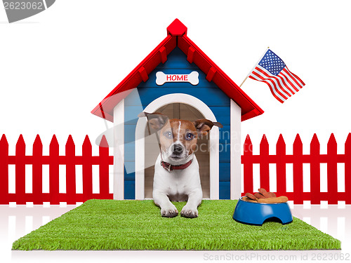 Image of dog house 