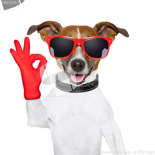 Image of ok fingers dog