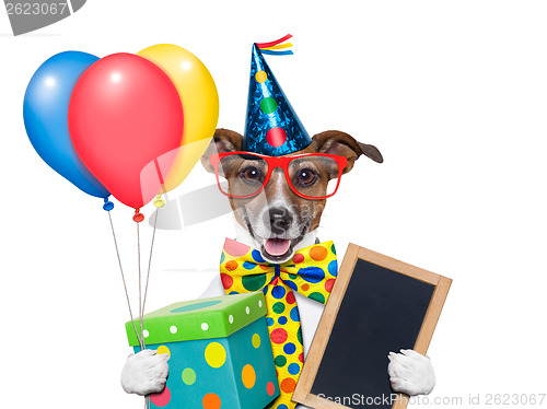 Image of birthday dog 