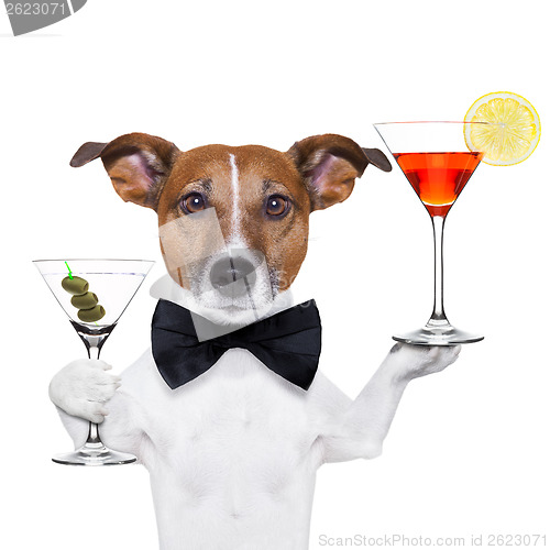 Image of cocktail dog martini glasses