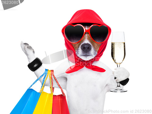 Image of shopaholic diva dog