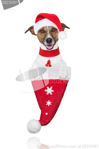 Image of santa christmas dog in a hat 
