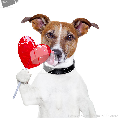 Image of valentine lollipop heart dog licking