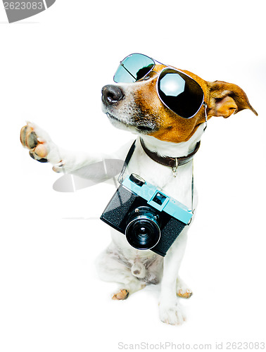 Image of dog photo camera