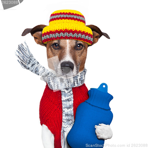 Image of winter dog scarf and hat