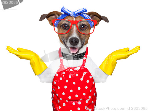 Image of housewife dog 