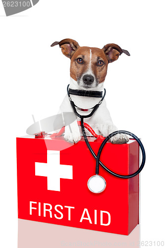 Image of first aid dog